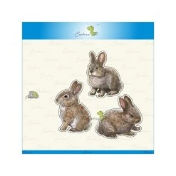 Meilleure affaire 🔔 AUTRE Dies De Découpe 3 Dies Lapins 🔔