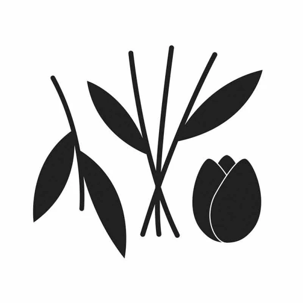 Acheter 🌟 Artemio Dies De Découpe Matrice De Découpe - Tulipes 👏 3 Acheter 🌟 Artemio Dies De Découpe Matrice De Découpe - Tulipes 👏