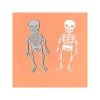 Meilleure vente 🎉 AUTRE Dies De Découpe Die 💀 Halloween - Squelette Humain ❤️ -Machines et accessoires mercerie Soldes unnamed file 1616