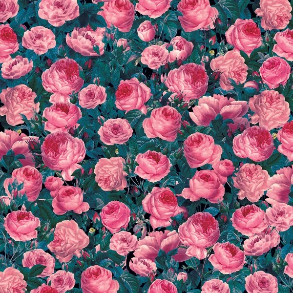 Coupon 🔥 Accessoires Cricut Maker Infusible Ink à Motifs Cricut Maker - Cabbage Roses - 30,5 X 30,5 Cm - 2 Feuilles 🛒 4 Coupon 🔥 Accessoires Cricut Maker Infusible Ink à Motifs Cricut Maker - Cabbage Roses - 30,5 X 30,5 Cm - 2 Feuilles 🛒 – Image 2