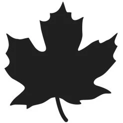 Meilleure affaire 🌟 Dies Fleurs Et Nature Dies De Coupe Artemio - Feuille - Erable - 1 Pce 😀 9 Meilleure affaire 🌟 Dies Fleurs Et Nature Dies De Coupe Artemio - Feuille - Erable - 1 Pce 😀 -Machines et accessoires mercerie Soldes unnamed file 544