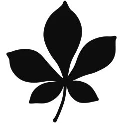 Meilleure vente ❤️ Dies Fleurs Et Nature Dies De Coupe Artemio - Feuille - Marronnier - 1 Pce 😍 -Machines et accessoires mercerie Soldes unnamed file 550