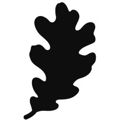 Offres 🎉 Dies Fleurs Et Nature Dies De Coupe Artemio - Feuille - Chêne - 1 Pce 😍 -Machines et accessoires mercerie Soldes unnamed file 556