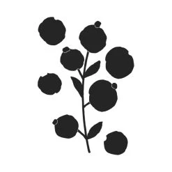 Bon marché 😀 Dies Fleurs Et Nature Matrice De Coupe Artemio - Branche Et Baies - 13 X 5,5 Cm - 5 Pcs 🔥 -Machines et accessoires mercerie Soldes unnamed file 634