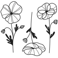 Offres 🎁 Artemio Dies Fleurs Et Nature Dies De Coupe - Coquelicots - 14,7 à 17 Cm - 3 Pcs ⭐ -Machines et accessoires mercerie Soldes unnamed file 704