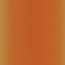 Offres 🥰 Accessoires Cricut Maker Infusible Ink à Motifs Cricut Maker - Léopard - 30,5 X 30,5 Cm - 2 Feuilles 🥰 -Machines et accessoires mercerie Soldes unnamed file 886